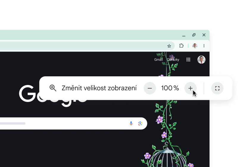 Domovská stránka Google a vyskakovací okno s přiblížením nastaveným na 100 %